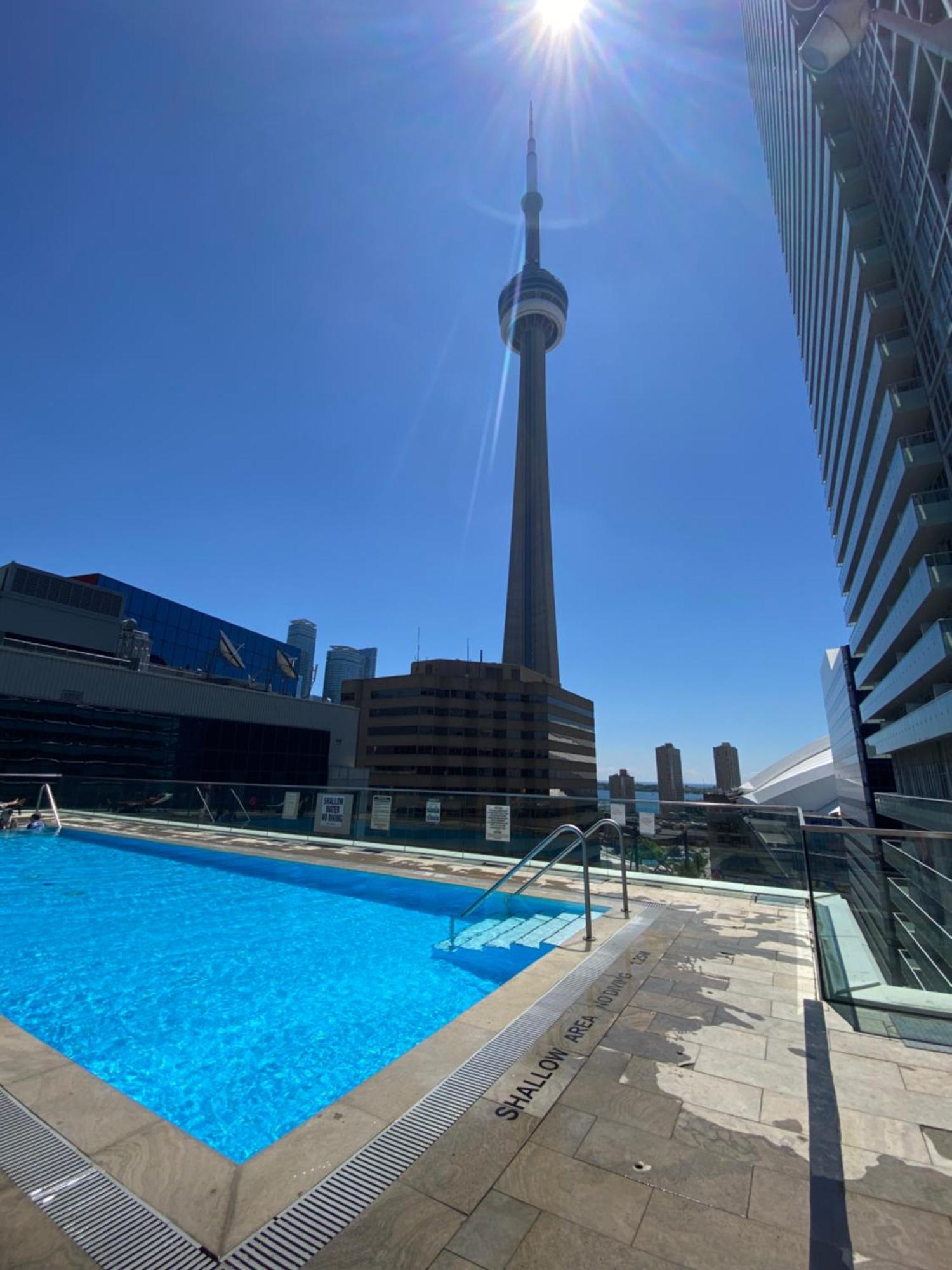 Central Toronto Suite - Free Parking, City Views, Near Cn Tower Eksteriør billede