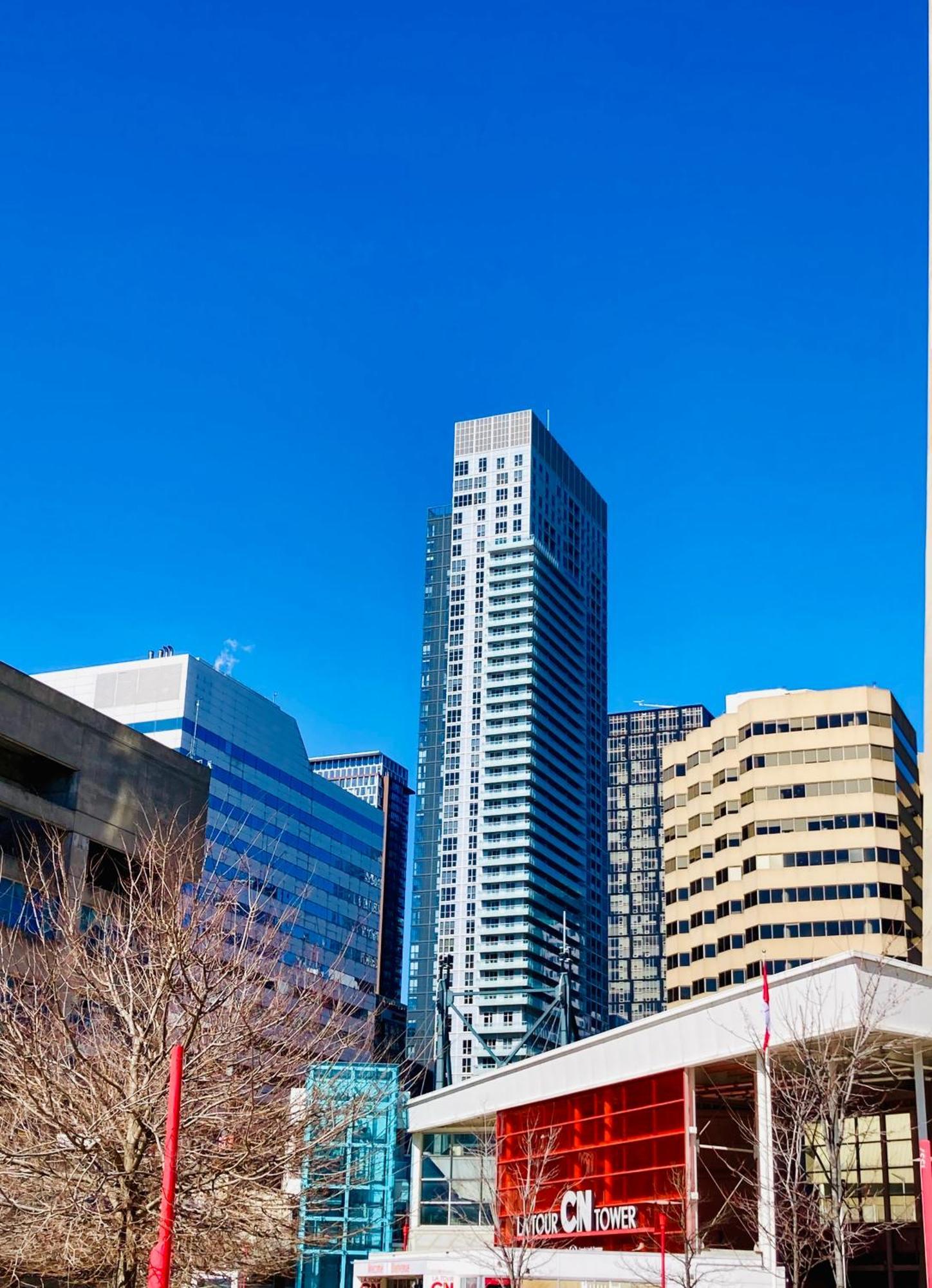 Central Toronto Suite - Free Parking, City Views, Near Cn Tower Eksteriør billede